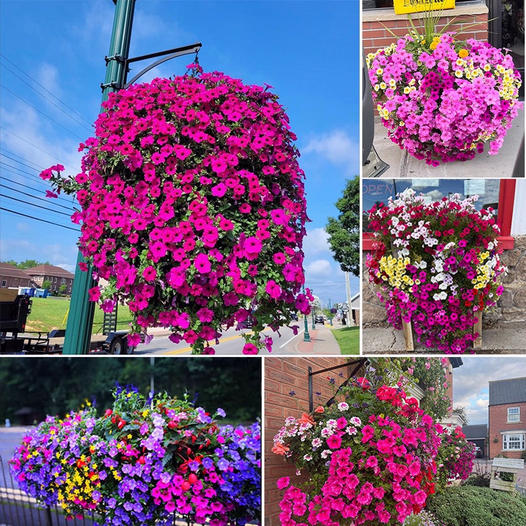 Last Day 70% OFF--๐UV Simulation Artificial flower