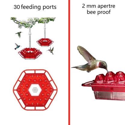 ✨This Week's Special Price 50% Off💥Hummingbird Feeders for Outdoors Hanging