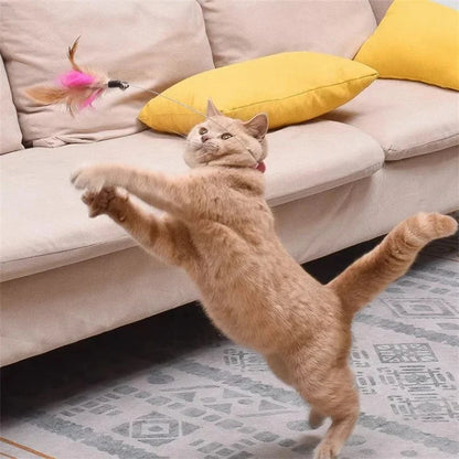 Toy Funny Feather Cat