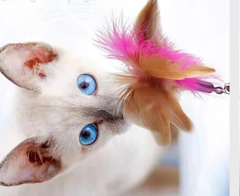 Toy Funny Feather Cat