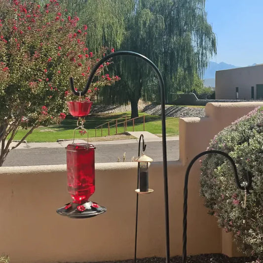 🔥One Time Offer :24oz Leak Proof Glass Hummingbird Feeder with Ant Moat