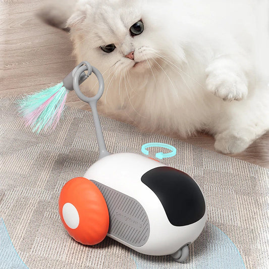 Smart Toy For Cat