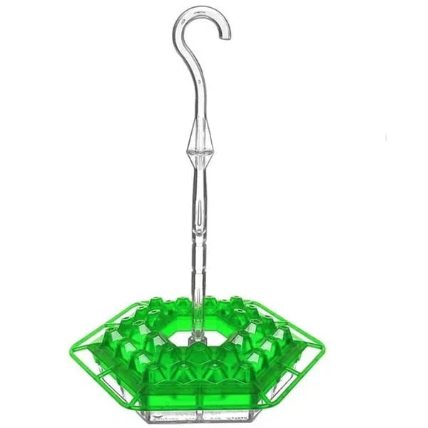 ✨This Week's Special Price 50% Off💥Hummingbird Feeders for Outdoors Hanging