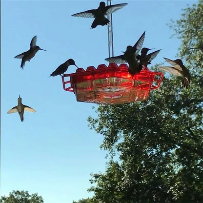 ✨This Week's Special Price 50% Off💥Hummingbird Feeders for Outdoors Hanging