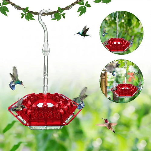 ✨This Week's Special Price 50% Off💥Hummingbird Feeders for Outdoors Hanging