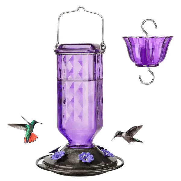 🔥One Time Offer :24oz Leak Proof Glass Hummingbird Feeder with Ant Moat
