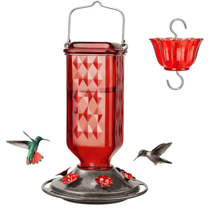🔥One Time Offer :24oz Leak Proof Glass Hummingbird Feeder with Ant Moat
